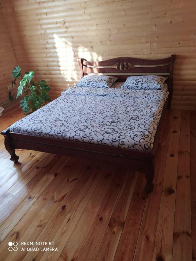 Карпатські Зорі Villa Pilipets ภายนอก รูปภาพ